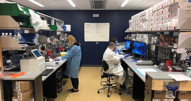 Lab techs at work in the lab