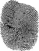 Fingerprint