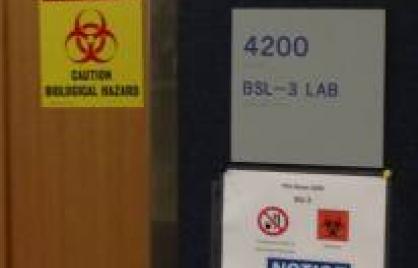 Lab Lab