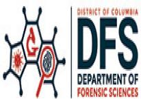DFS Logo DFS Logo
